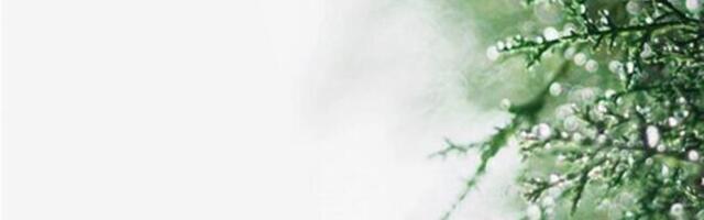 Ja maailm on. Ja ilu on