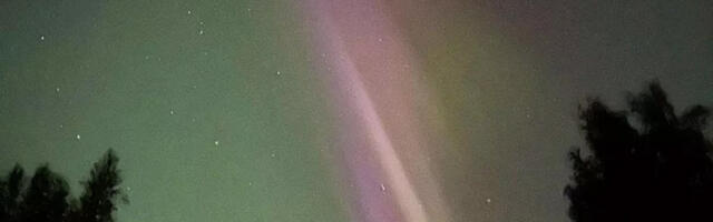 Pilgud taevasse: täna näeb virmalisi