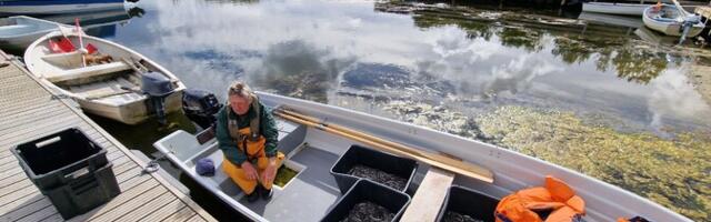 Ministeeriumid on angerjate kaitsmise küsimuses eri meelt