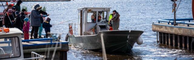 Laupäeval toimub kaheksas avatud kalasadamate päev