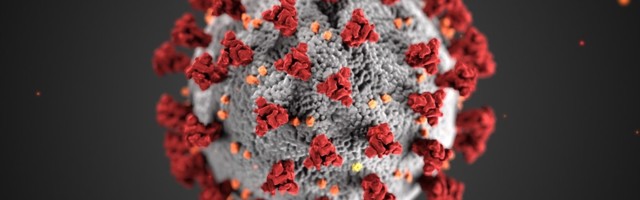 KUUM: Teadlased hoiatavad üha enamate koroona mutatsioonide eest, mida immuunsüsteem ära ei tunne ja mis ei allu vaktsiinidele