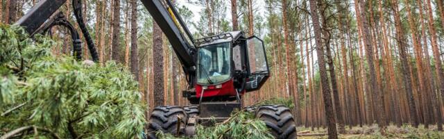 Lätis langes metsade raievanus