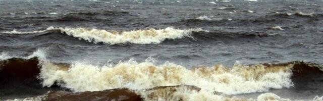 СМИ: с Китаем ведутся переговоры о проверке судна, подозреваемого в повреждении кабеля