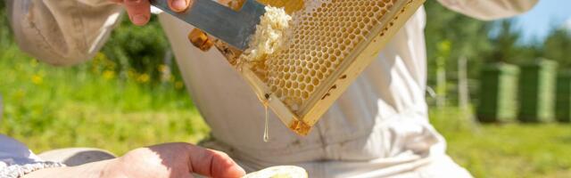 Eesti ettevõte Muhe Mesi sai tunnustuse DNA-põhise meeanalüüsi meetodi eest