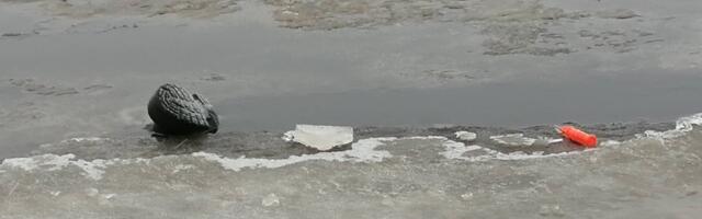 Pärnu lahe jääle pole praegu mõistlik minna