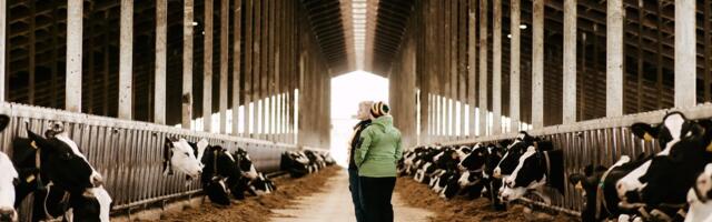 Mis on targa loomakasvataja edu aluseks?