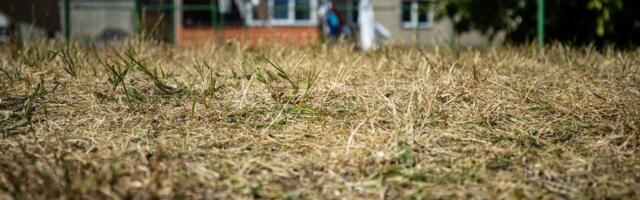 Keskkonnaagentuur hoiatab põua eest: isegi suur vihm ei tee talvist puudujääki tasa