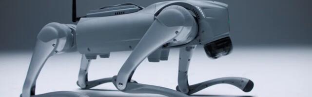 How IntuiCell turned decades of controversial neuroscience into breakthrough AI technology