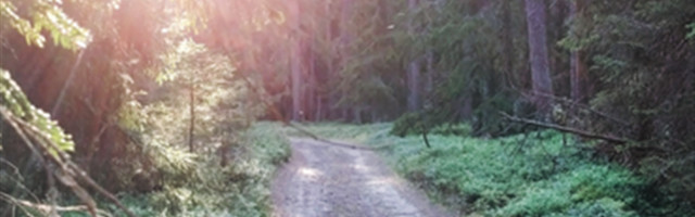 Kahekordselt väljendamatu