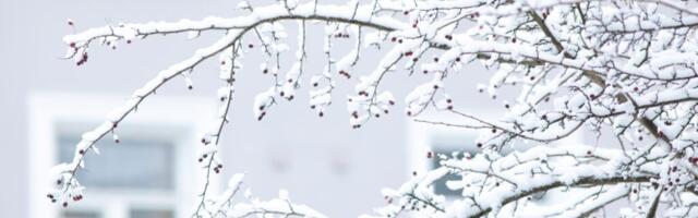 Talv võtab võimu – lähipäevil paugub kõva pakane