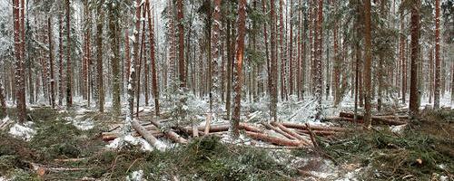 Erikomisjon arutab avalikul istungil Nursipalu harjutusvälja laiendamist