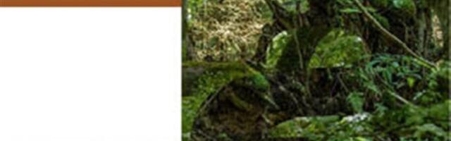 Mõni sõna luuleplaatidest ja muust