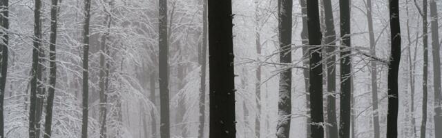 Riik omandas eelmisel aastal rekordiliselt looduskaitseliste piirangutega maad