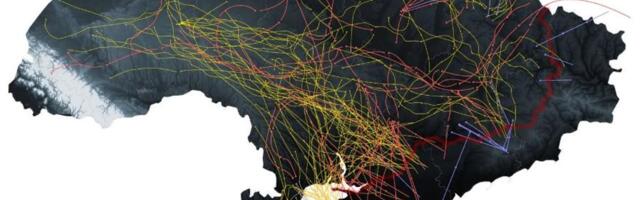 SÕJAPÄEVIK (653. päev) | Soome vabastas vangist neonatsist Vene sõduri, keda ei andnud Ukrainale välja