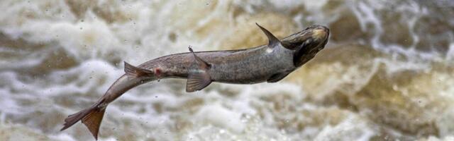 Personalitöötajate palgaraport: tõus on olnud soliidne, lõhe rapsib huupi