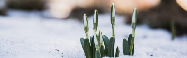 ILMATEADE | Kevade märke on õhus juba palju, kuid teed on endiselt talvised