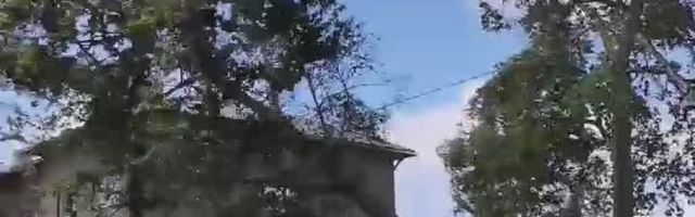 VIDEO | Pärnus kukkus puu elektriliini peale, vooluta on Eestis üle 22 000 majapidamise