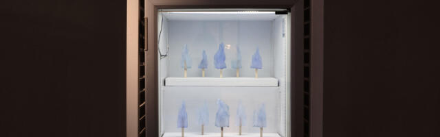 Taavi Suisalu Tartu Kunstimajas