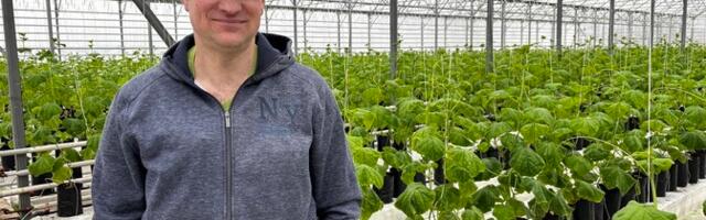 Fotod: lille- ja köögiviljataimede kasvatajate kevad on alanud