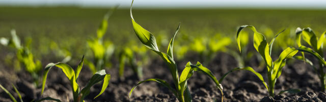 Juhtiv väetisetootja: maailm seisab silmitsi näljaga
