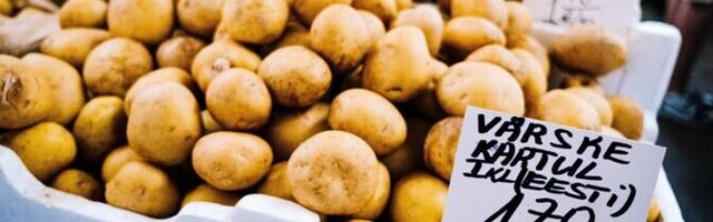 Nooremteadur: koolis mahetoitu pakkudes tasub äärmustest hoiduda