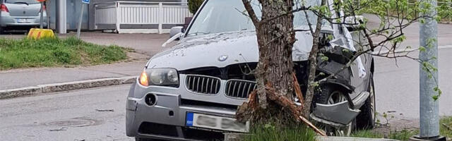 PILTUUDIS: Eesti rallimees sõitis Soomes vastu puud
