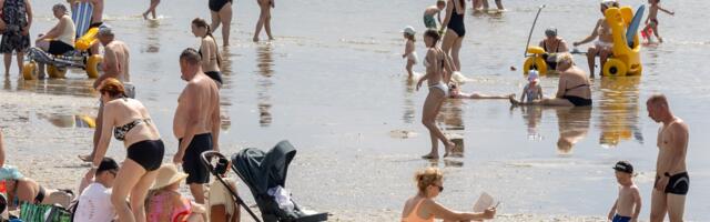 Tehisarule on prille vaja, Eesti prille