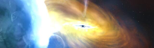 Musta augu ümber on nähtud erakordselt võimast tulevärki. Kas on põhjust muretsemiseks?