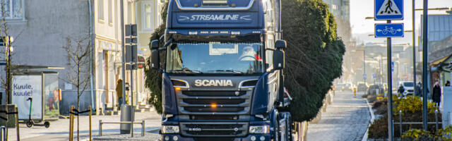 Jõulukuusk jõuab Haapsallu novembri keskel