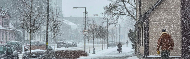 Täna on oodata tuisku