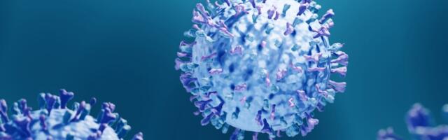 Terviseamet: RS-viiruse levik hakkab stabiliseeruma