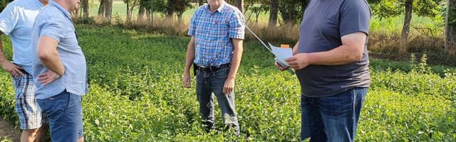 Saksamaal kasvatatud metsaistikute päritolutunnistused on leitud