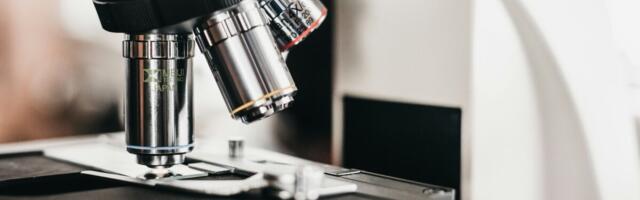 Vaata kaubandusfirmasid, kes said riigilt raha teadus- ja arendustöötaja palkamiseks