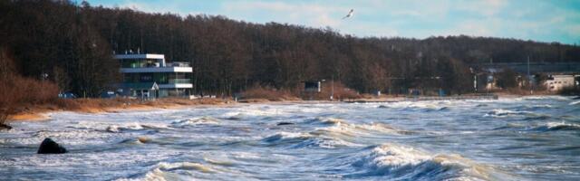 AJAPEEGEL/ANDRES JAANUS: üldplaneering – isekad soovid ja soovimatus näha suurt pilti