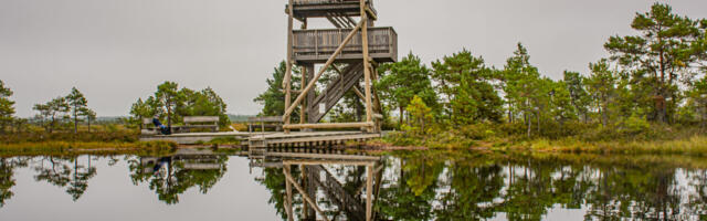 RMK ajab Marimetsa kuivenduskraavid kinni