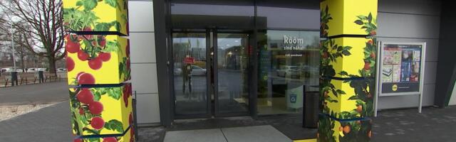 Reporter: Saksa odavpoekett Lidl avab kaheksa poodi Tallinnas, Tartus, Narvas ja Pärnus