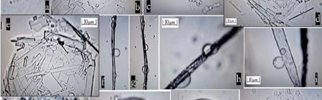 Suur avastus: Biotehnoloogia uuring kinnitas isekogunevaid nanoosakesi inimese kehas