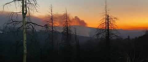 VIDEOD | Californiat räsib nüüdisaja esimene "gigapõleng"
