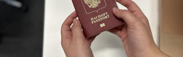 Helve Särgava: põhiseadust päevapoliitika nimel ei muudeta