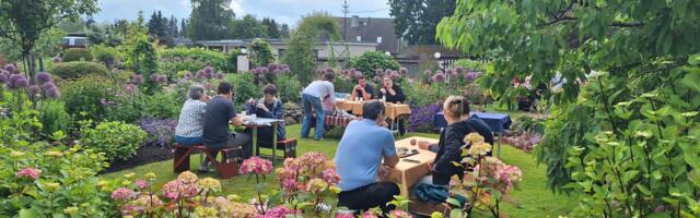 KURIOOSUM! Maksuameti hinnangul võib mitmepäevase kodukohviku puhul olla tegemist ettevõtlusega