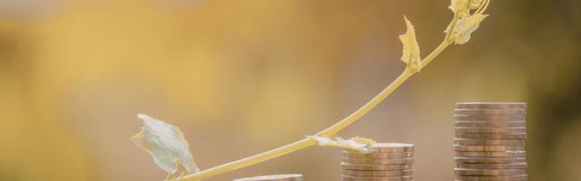 Mida teha 22. märtsil, et raha ligi tõmmata? 5 sammu, mis võivad muuta sinu majanduslikku seisu