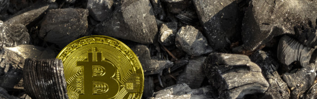 Peeter Koppel: kuidas taltsutada sardiine?