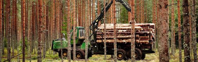 RMK kandis riigieelarvesse 88 miljonit eurot