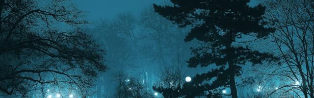 Keskonnaagentuur: Eelolev öö on külm, uus lumesadu ja tuisk laienevad üle maa neljapäeva (18.01) öösel