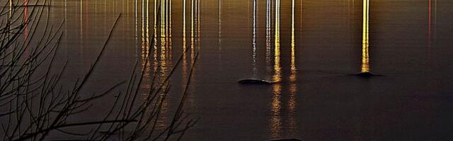 Jaanus Volmre NÄDALA FOTO