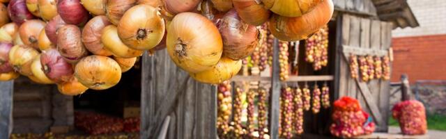 Suur tunnustus: Peipsiääre vald on Läänemere Kultuuripärl 2025