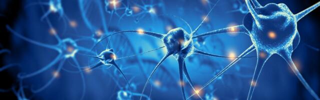 Doktoritöös leiti skisofreeniahaigete närvirakkudest funktsionaalseid muutusi