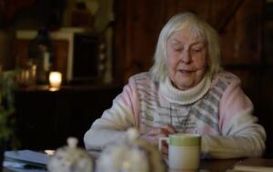 Filmihuvilise palvela