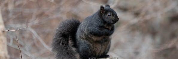 JUHTKIRI: Viimsi veekriis on Reformierakonna nägu