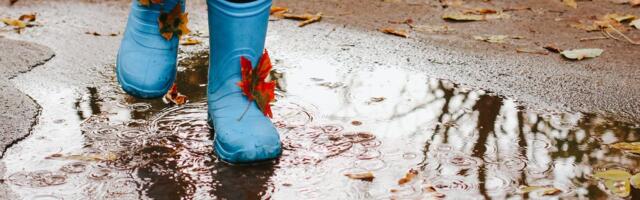 Porikuu ehk oktoober